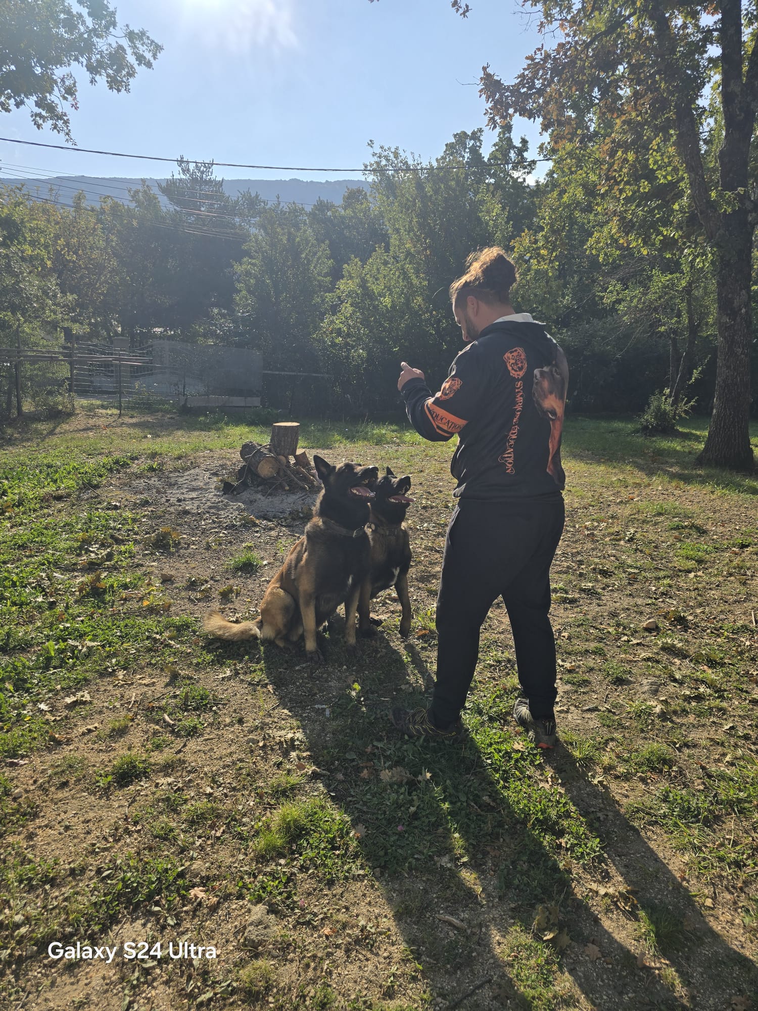 éducateur canin tourves